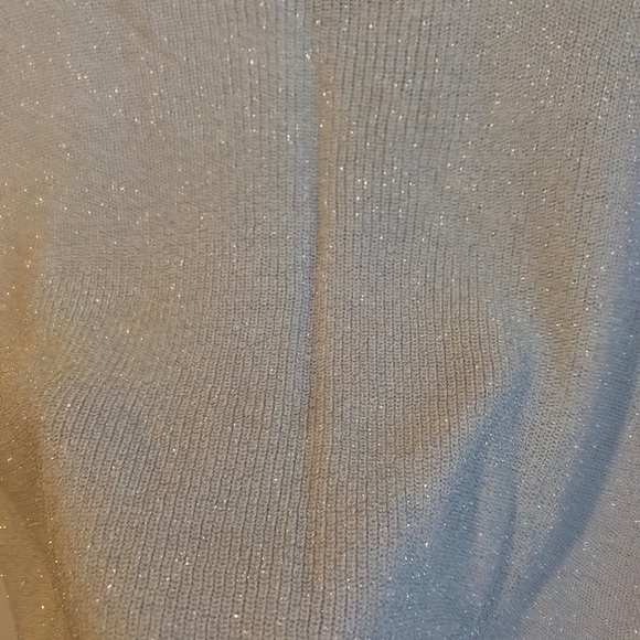 Silver Camisole - Picture 3 of 4